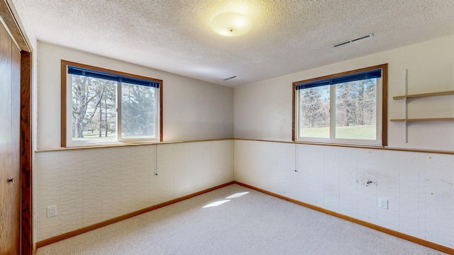 empty room with healthy amount of natural light, carpet, a textured ceiling, baseboards, and wooden walls