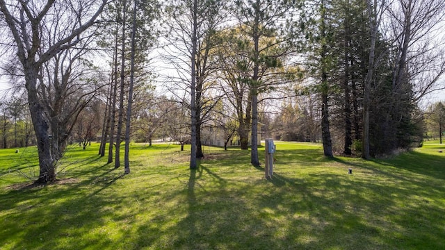 view of green lawn
