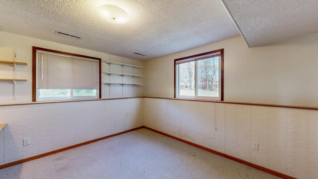 5904 Country View Ct NW, Rochester, MN 55901 - carpeted empty room featuring healthy amount of natural light and a textured ceiling