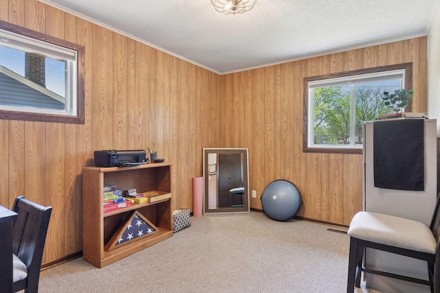 exercise area with carpet, ornamental molding, wooden walls, and a textured ceiling