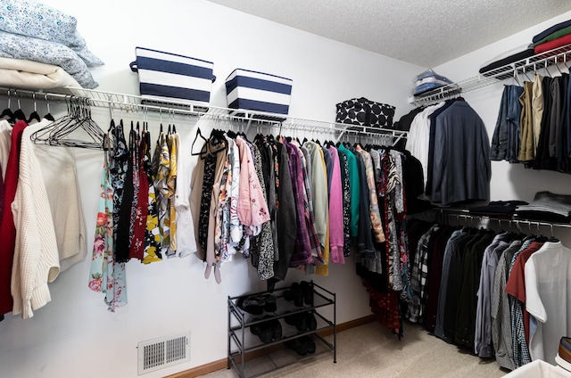 spacious closet featuring carpet flooring