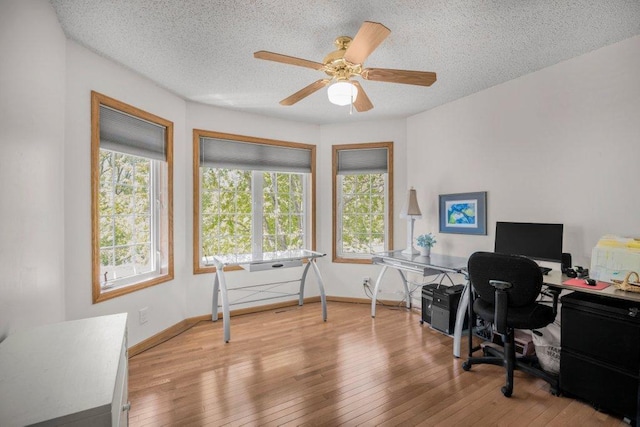 9967 Egret Blvd NW, Coon Rapids, MN 55433 - office featuring a textured ceiling, wood-type flooring, ceiling fan, and baseboards