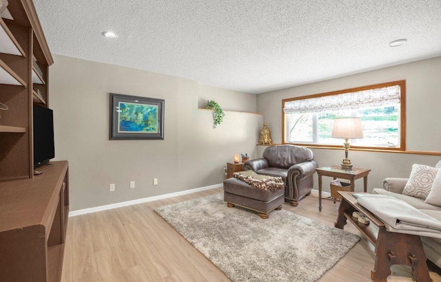 9967 Egret Blvd NW, Coon Rapids, MN 55433 - living area with a textured ceiling, light wood finished floors, and baseboards