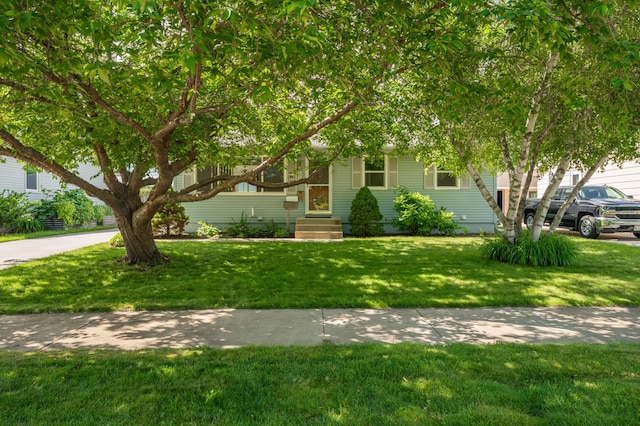 3618 1st St NW, Rochester, MN 55901 - obstructed view of property with a front yard