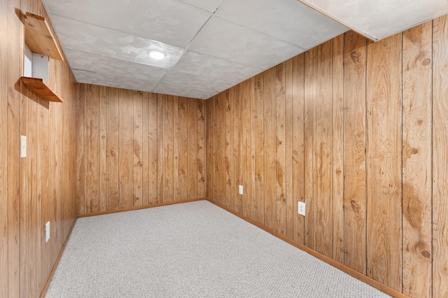 3618 1st St NW, Rochester, MN 55901 - empty room featuring carpet and wood walls