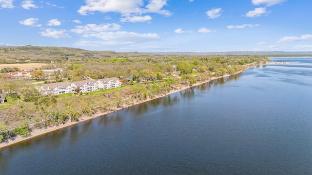 bird's eye view of a large body of water
