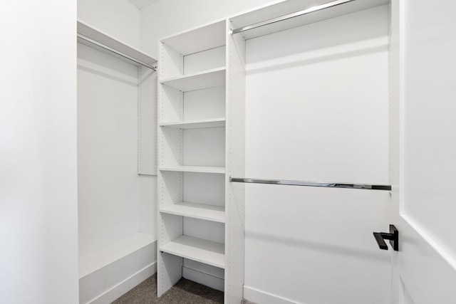 view of walk in closet