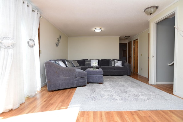 5634 142nd St W, Apple Valley, MN 55124 - living area with wood finished floors, baseboards, and ornamental molding