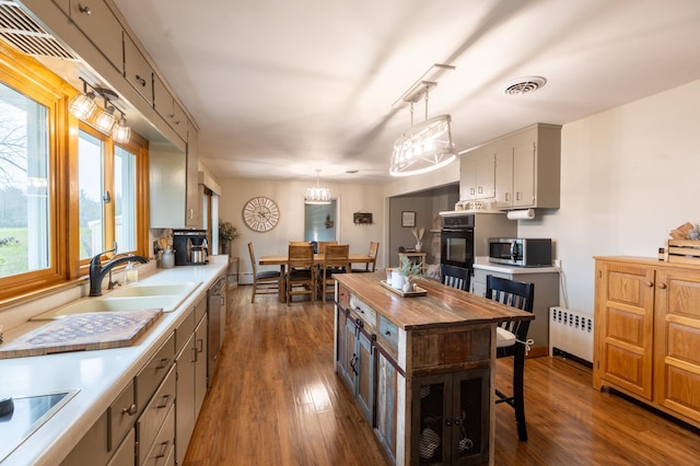 kitchen with radiator, dark wood-style flooring, a sink, wood counters, and stainless steel appliances