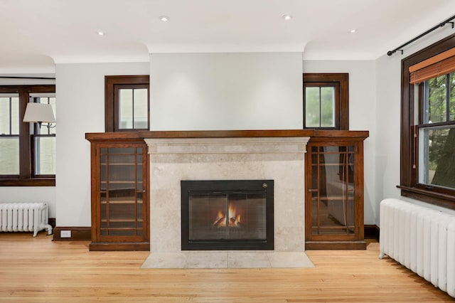 1287 Avon St N, Saint Paul, MN 55117 - living area featuring radiator, wood finished floors, a high end fireplace, and recessed lighting