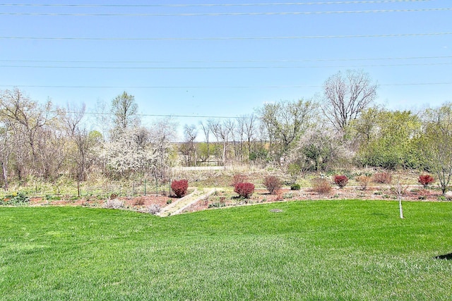 222 Sargent Dr Unit 102, Red Wing, MN 55066 - view of yard