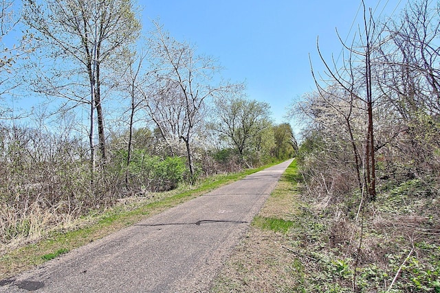222 Sargent Dr Unit 102, Red Wing, MN 55066 - view of road
