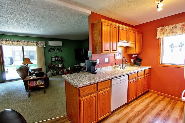 222 Sargent Dr Unit 102, Red Wing, MN 55066 - kitchen with an AC wall unit, a sink, dishwasher, and a healthy amount of sunlight