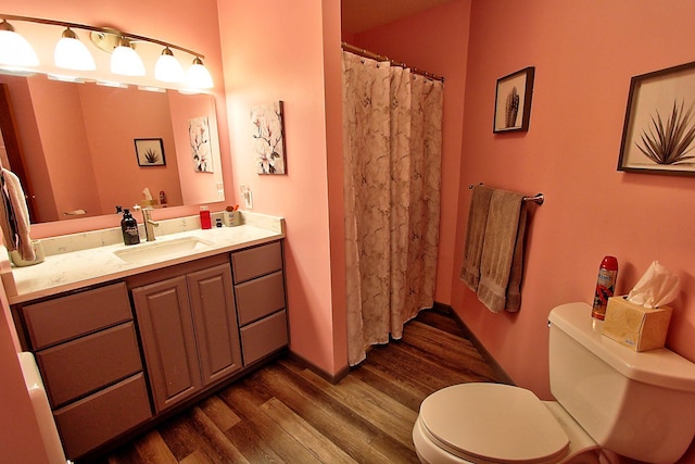 222 Sargent Dr Unit 102, Red Wing, MN 55066 - bathroom featuring vanity, a shower with shower curtain, wood finished floors, and toilet