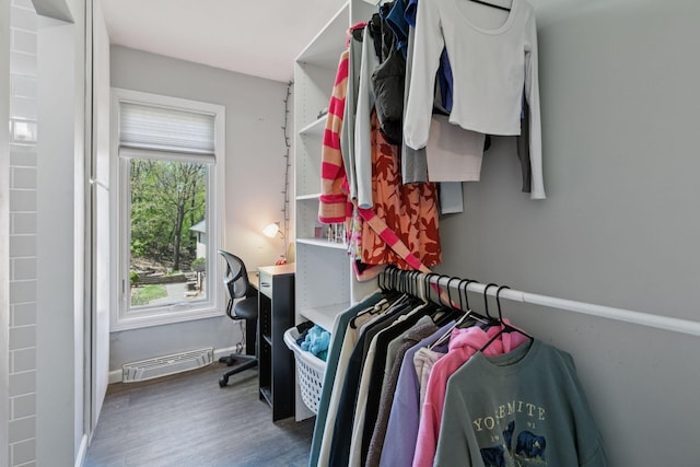 walk in closet featuring visible vents and wood finished floors