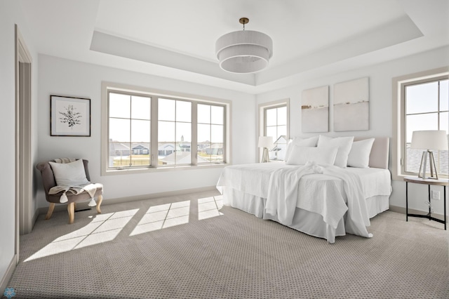 carpeted bedroom with multiple windows and a raised ceiling