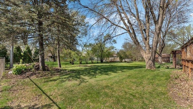 view of yard