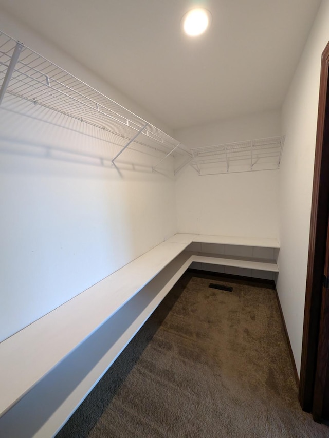 580 Canyon Ln NW, Eyota, MN 55934 - spacious closet featuring carpet flooring