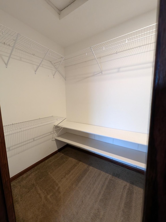 580 Canyon Ln NW, Eyota, MN 55934 - walk in closet with carpet