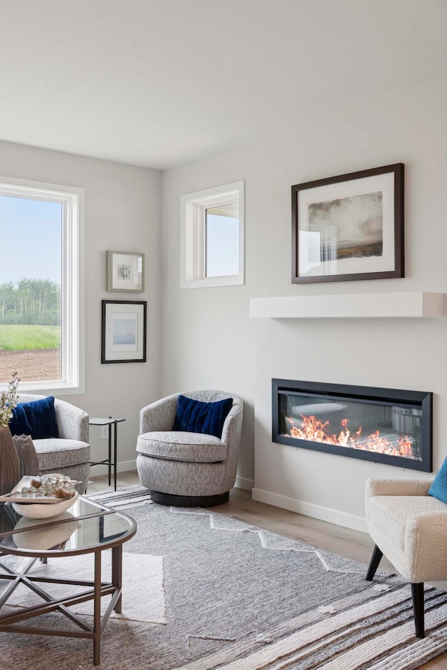 12439 Drayton Trl, Apple Valley, MN 55124 - living area featuring a glass covered fireplace and wood finished floors