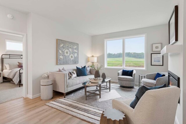 12439 Drayton Trl, Apple Valley, MN 55124 - living room featuring wood finished floors and a glass covered fireplace