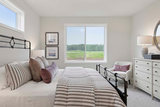 12439 Drayton Trl, Apple Valley, MN 55124 - bedroom featuring light carpet