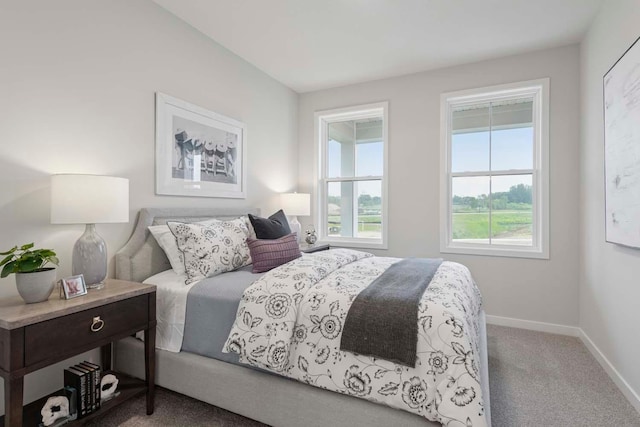 12439 Drayton Trl, Apple Valley, MN 55124 - carpeted bedroom with baseboards
