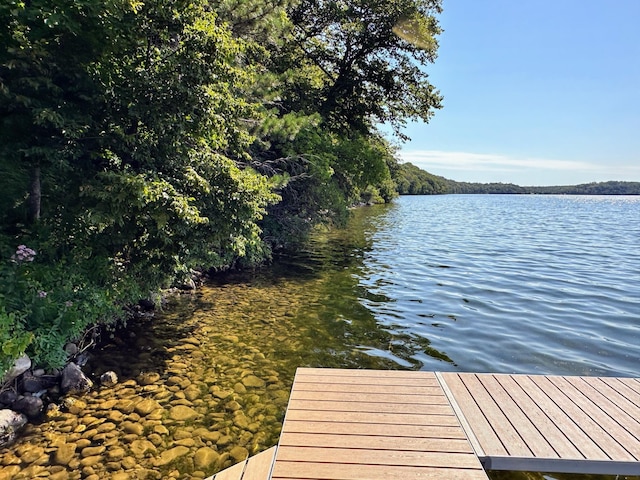dock area featuring a water view