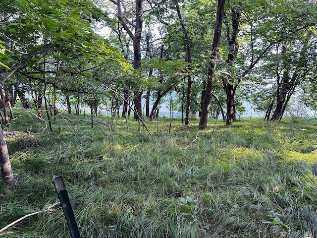 view of nature