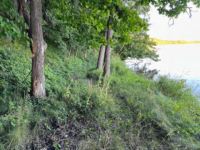 view of nature featuring a water view