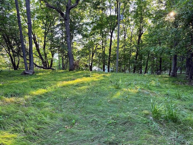 view of nature