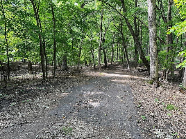 view of road featuring a wooded view