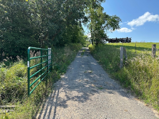 view of road featuring a gated entry