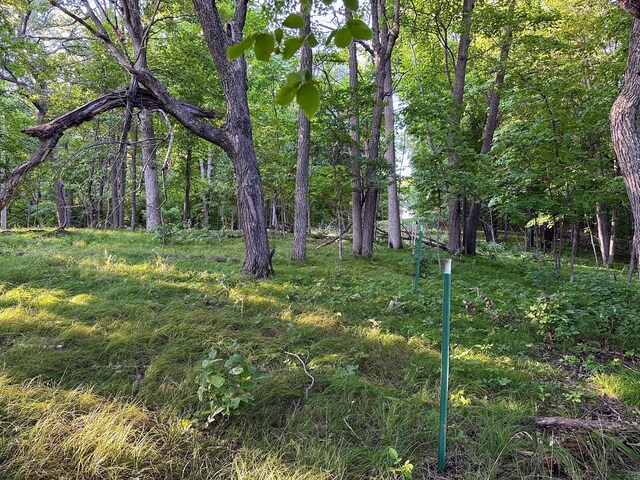 36018 504th St, Hobart Twp, MN 56544 - view of yard