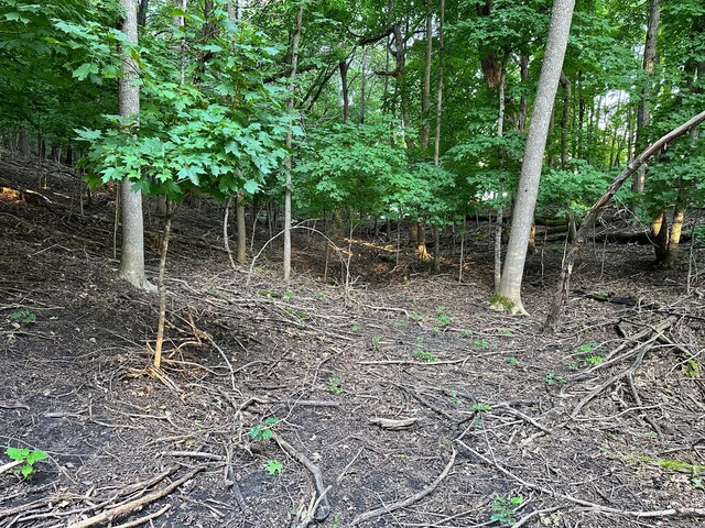36018 504th St, Hobart Twp, MN 56544 - view of local wilderness