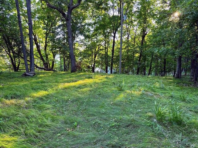 36018 504th St, Hobart Twp, MN 56544 - view of nature