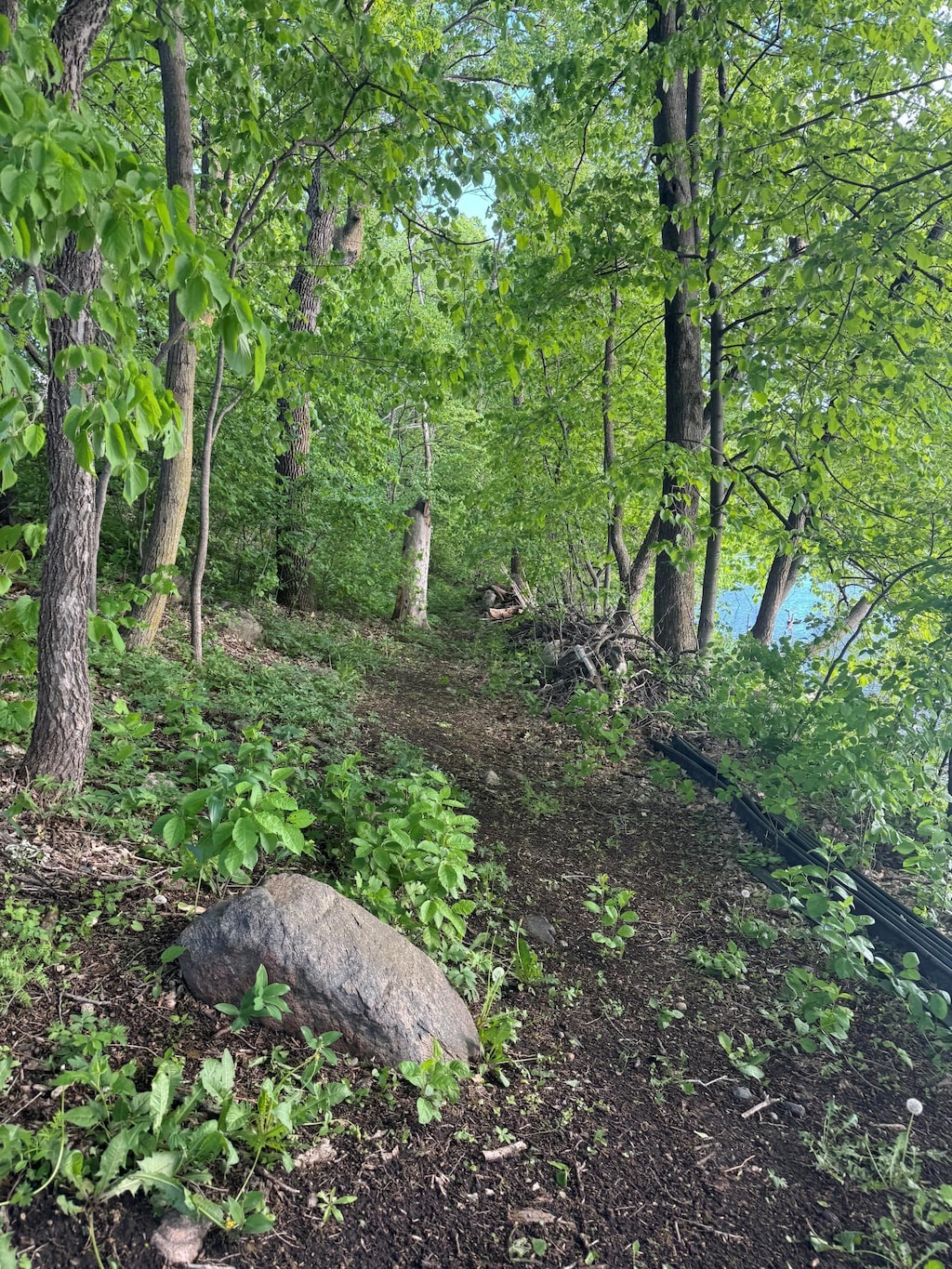 LOT1BLOCK1 746th Ave, Dassel, MN 55325
