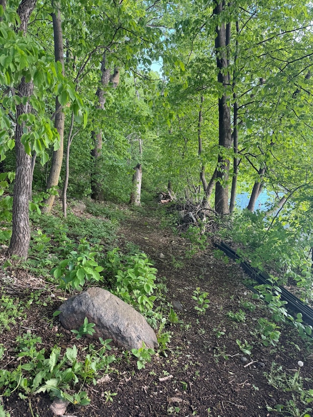 LOT1BLOCK1 746th Ave, Dassel, MN 55325