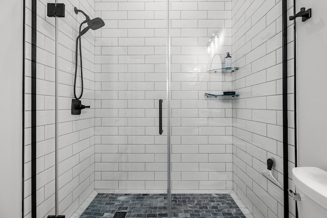 full bathroom featuring a shower stall and toilet