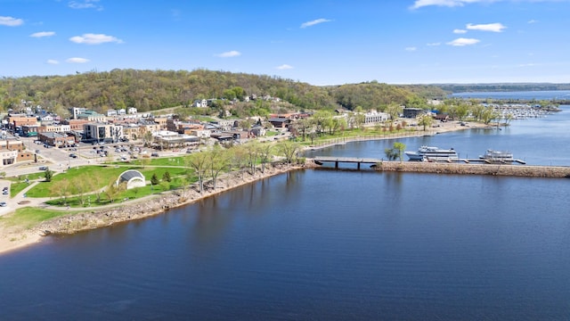drone / aerial view of a large body of water and a heavily wooded area