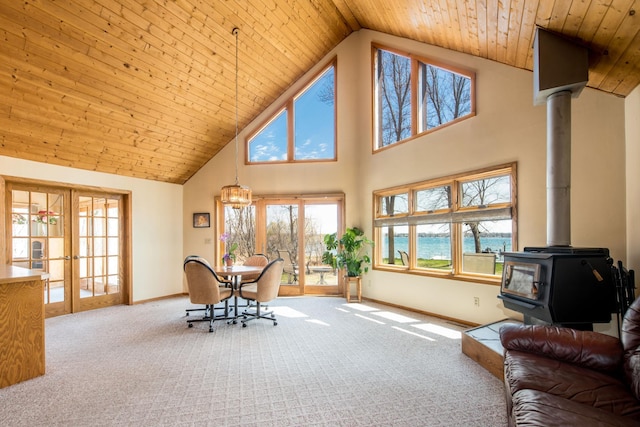 1844 Mount Carmel Dr NE, Alexandria, MN 56308 - interior space with a wood stove, a wealth of natural light, baseboards, and high vaulted ceiling