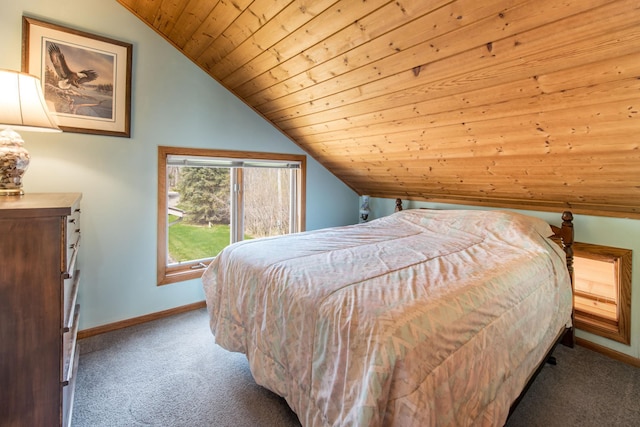 1844 Mount Carmel Dr NE, Alexandria, MN 56308 - bedroom featuring wood ceiling, baseboards, lofted ceiling, and carpet floors