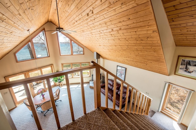 1844 Mount Carmel Dr NE, Alexandria, MN 56308 - stairway featuring wooden ceiling, high vaulted ceiling, a ceiling fan, and carpet floors