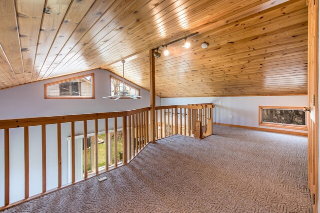 1844 Mount Carmel Dr NE, Alexandria, MN 56308 - hall with a wealth of natural light, wooden ceiling, carpet, and vaulted ceiling