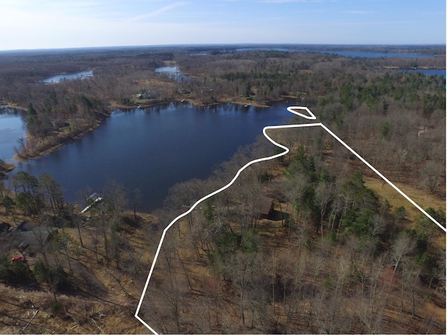 3585 Rigby Rd, Webster, WI 54893 - aerial view with a view of trees and a water view