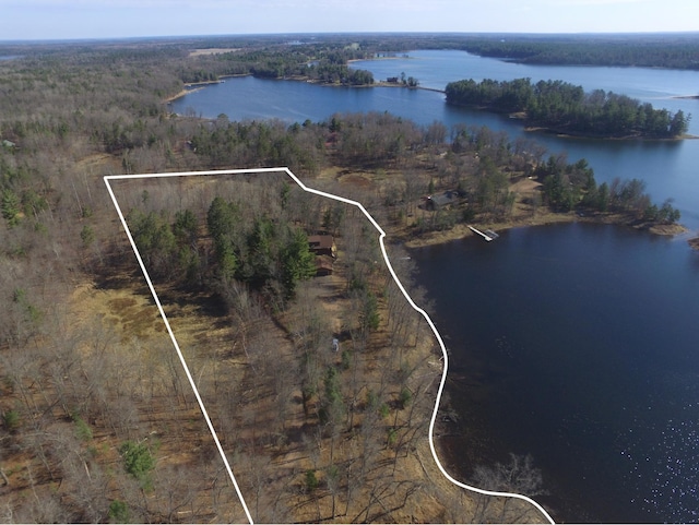 3585 Rigby Rd, Webster, WI 54893 - birds eye view of property featuring a water view and a view of trees