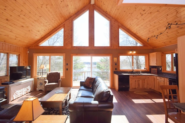 3585 Rigby Rd, Webster, WI 54893 - living room with dark wood-style flooring, high vaulted ceiling, and wooden ceiling