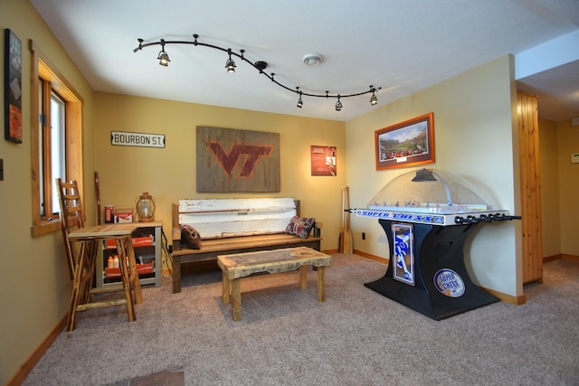 3585 Rigby Rd, Webster, WI 54893 - interior space featuring carpet floors, baseboards, and track lighting