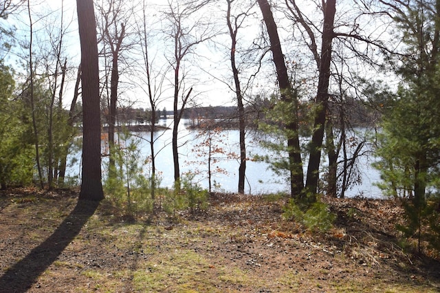 3585 Rigby Rd, Webster, WI 54893 - property view of water