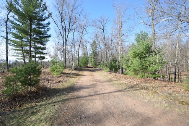 3585 Rigby Rd, Webster, WI 54893 - view of road